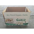 Chinese normal white garlic crop 2017 1kgx10 in 10kg carton